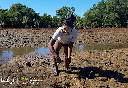 Image © Ecologi & Eden Reforestation Projects.