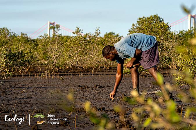 Images © Ecologi & Eden Reforestation Projects