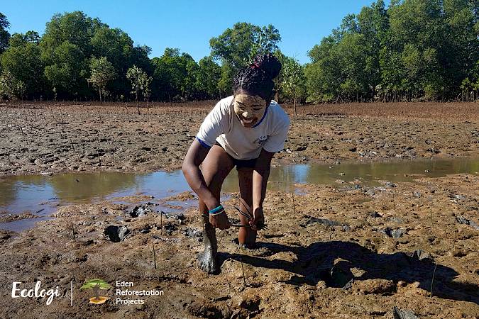 Images © Ecologi & Eden Reforestation Projects