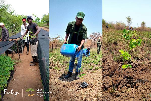 Images © Ecologi & Eden Reforestation Projects