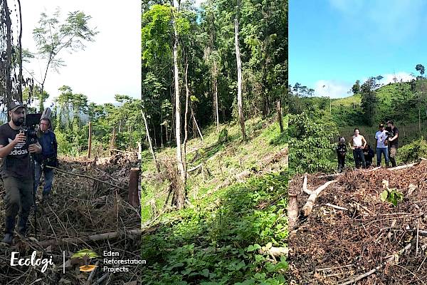 Images © Ecologi & Eden Reforestation Projects