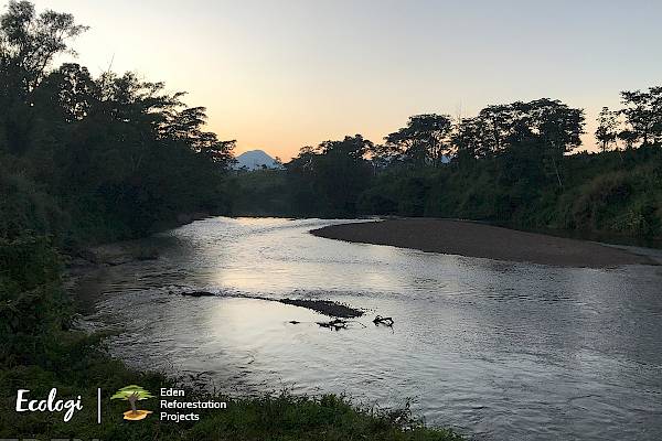 Images © Ecologi & Eden Reforestation Projects