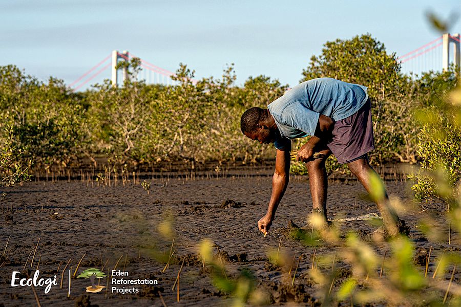 Tree planting in Madagascar